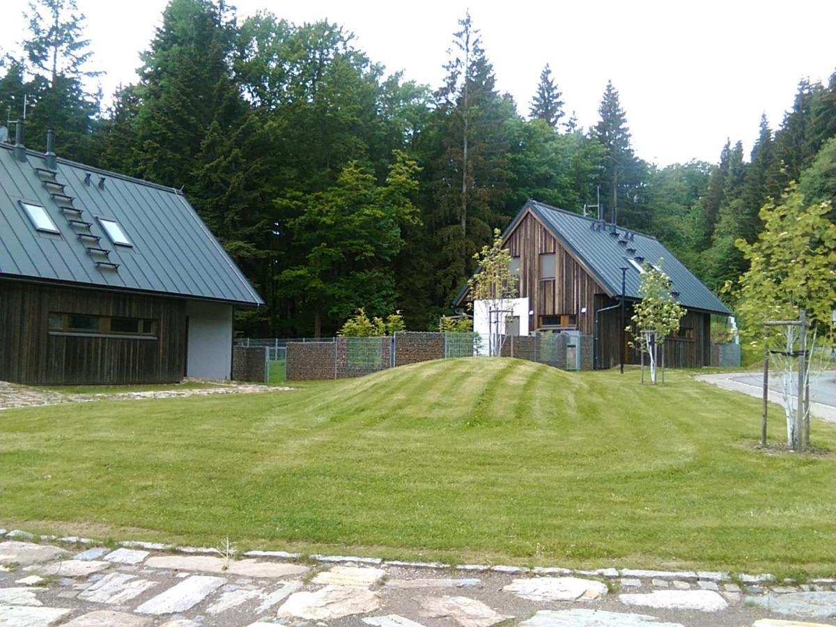 Apartmány Zlatý Hamr Svoboda nad Úpou Exterior foto
